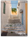 Steps towards the light
