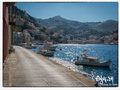 The stars of the Aegean sea on Symi