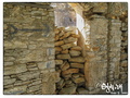 September light in the wall, Chorio